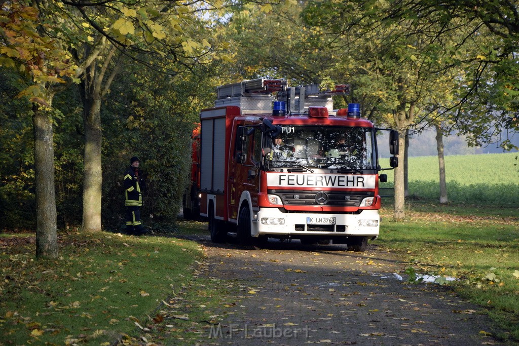 Feuer 1 brannten 3 Lauben Koeln Fuehlingen Kriegerhofstr P100.JPG - Miklos Laubert